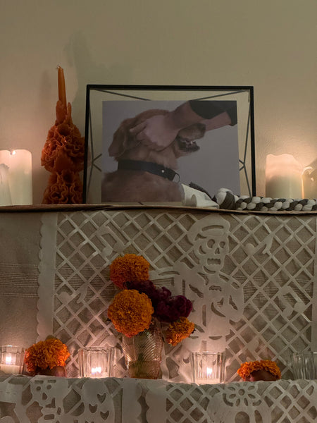 foto de perro en altar de mascotas