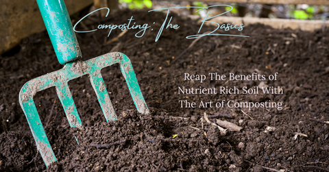 Composting: The Basics