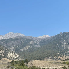 Mt Borah