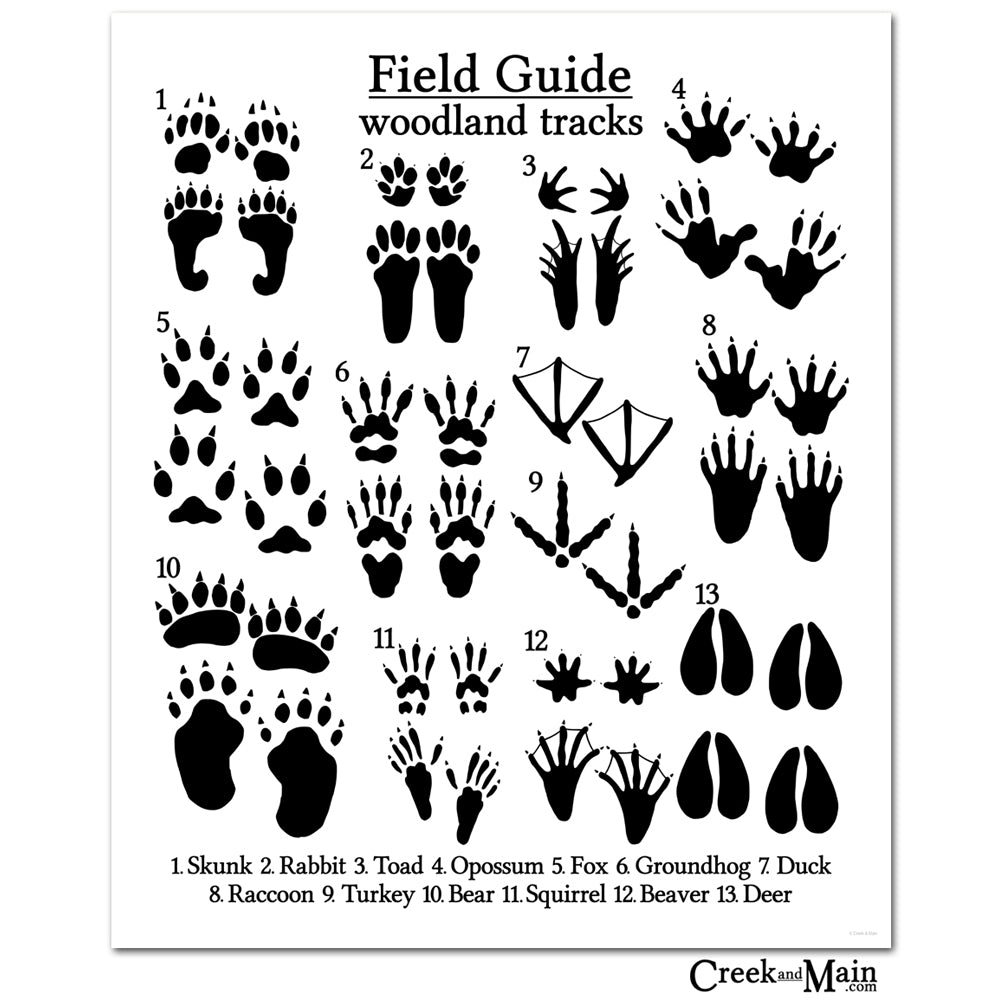 Printable Animal Footprints