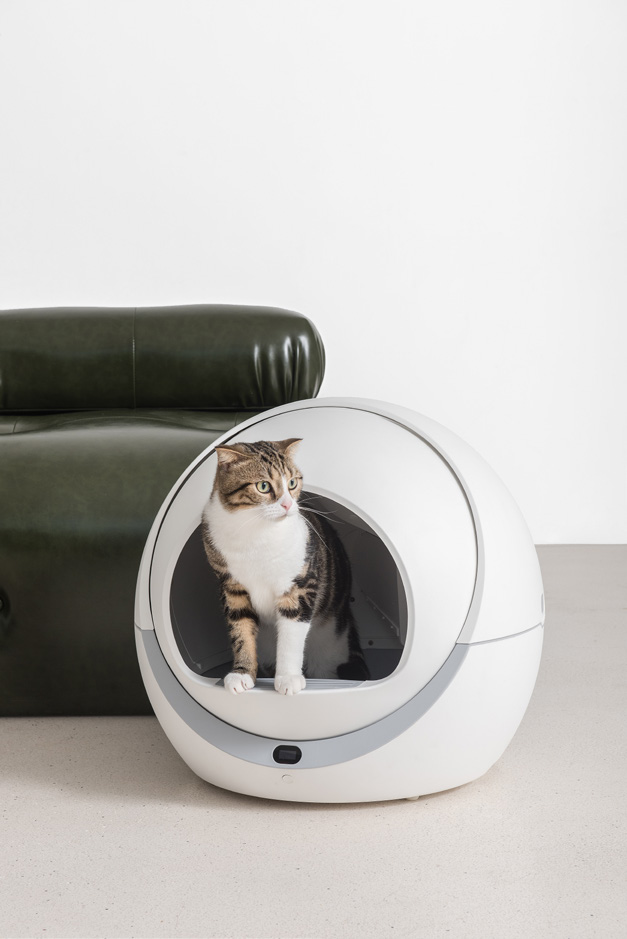 WiFi automatic cat litter box generation