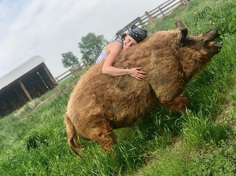 Christina from Eh Farms with one of her Mangalitsa pigs