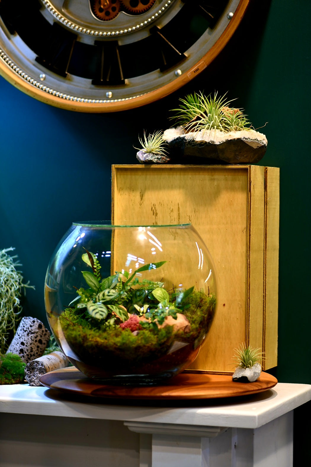 Decorative Fishbowl Terrariums - Terrarium Laboratory