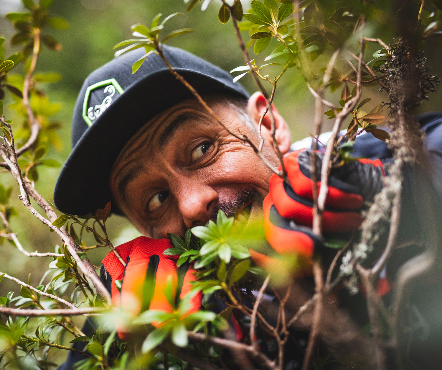 Funny personality photo of Cedric peaking out of bushes