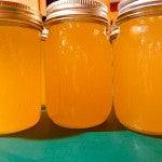 Freshly rendered lard poured into canning jars.