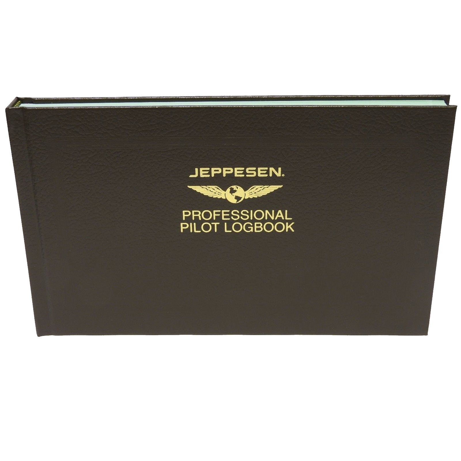 jeppesen professional pilot logbook