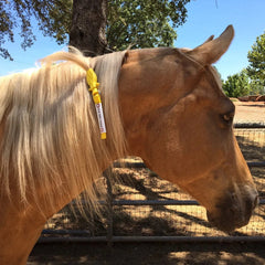 A palomino horse with a bright yellow ManeStay ID tag in its mane.