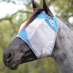 Cashel's Crusader fly mask in the Blue Warrior colour, on a grey horse.