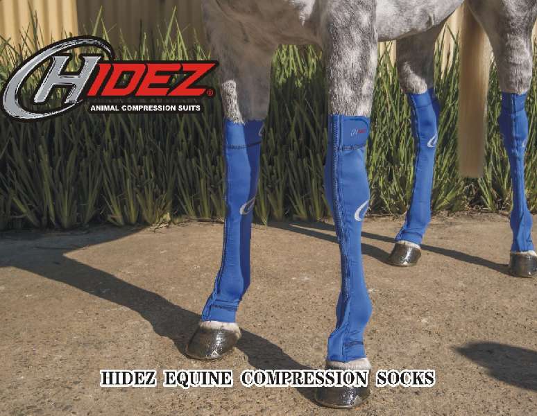 horse compression boots