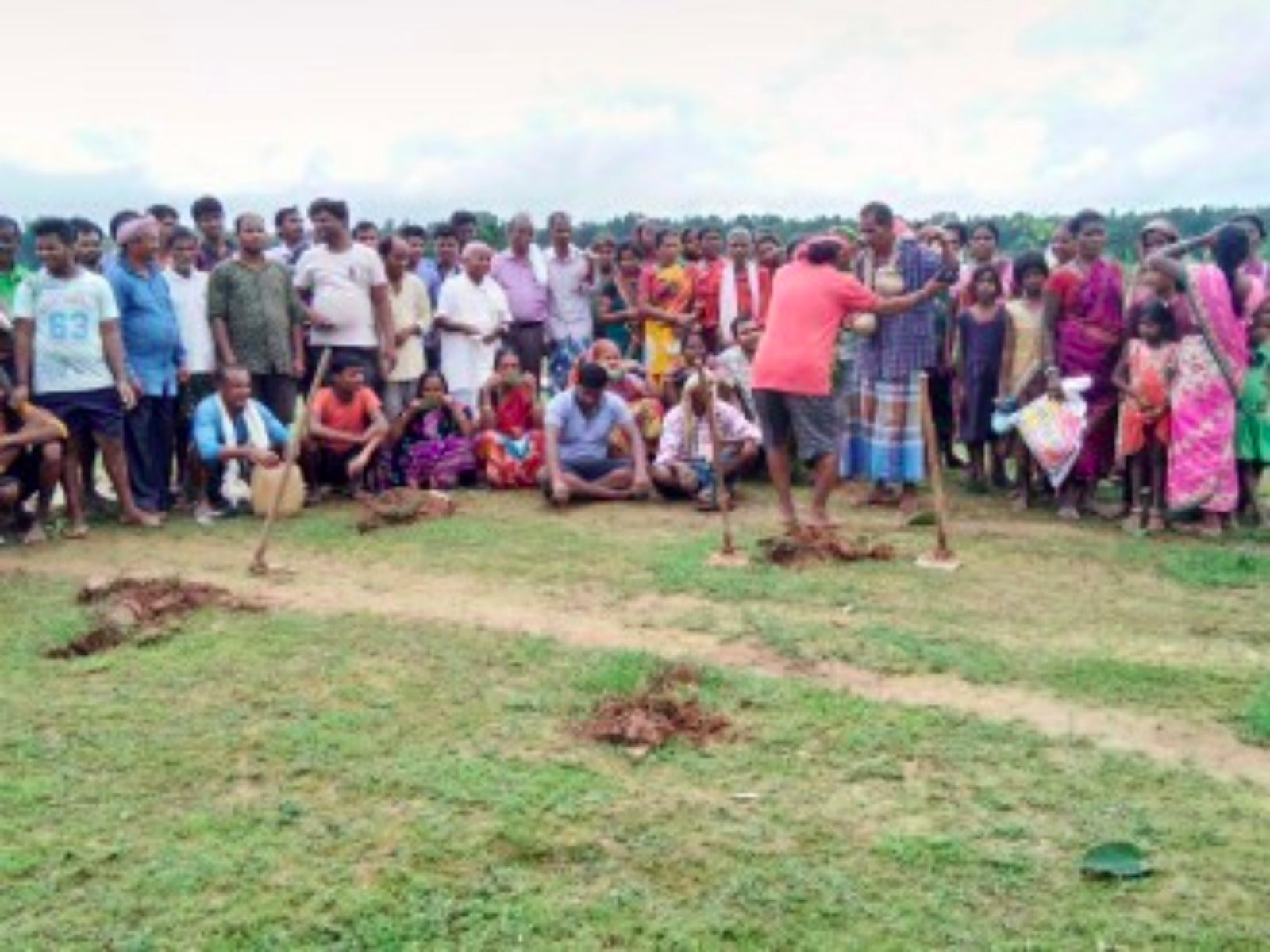 Planting trees in India