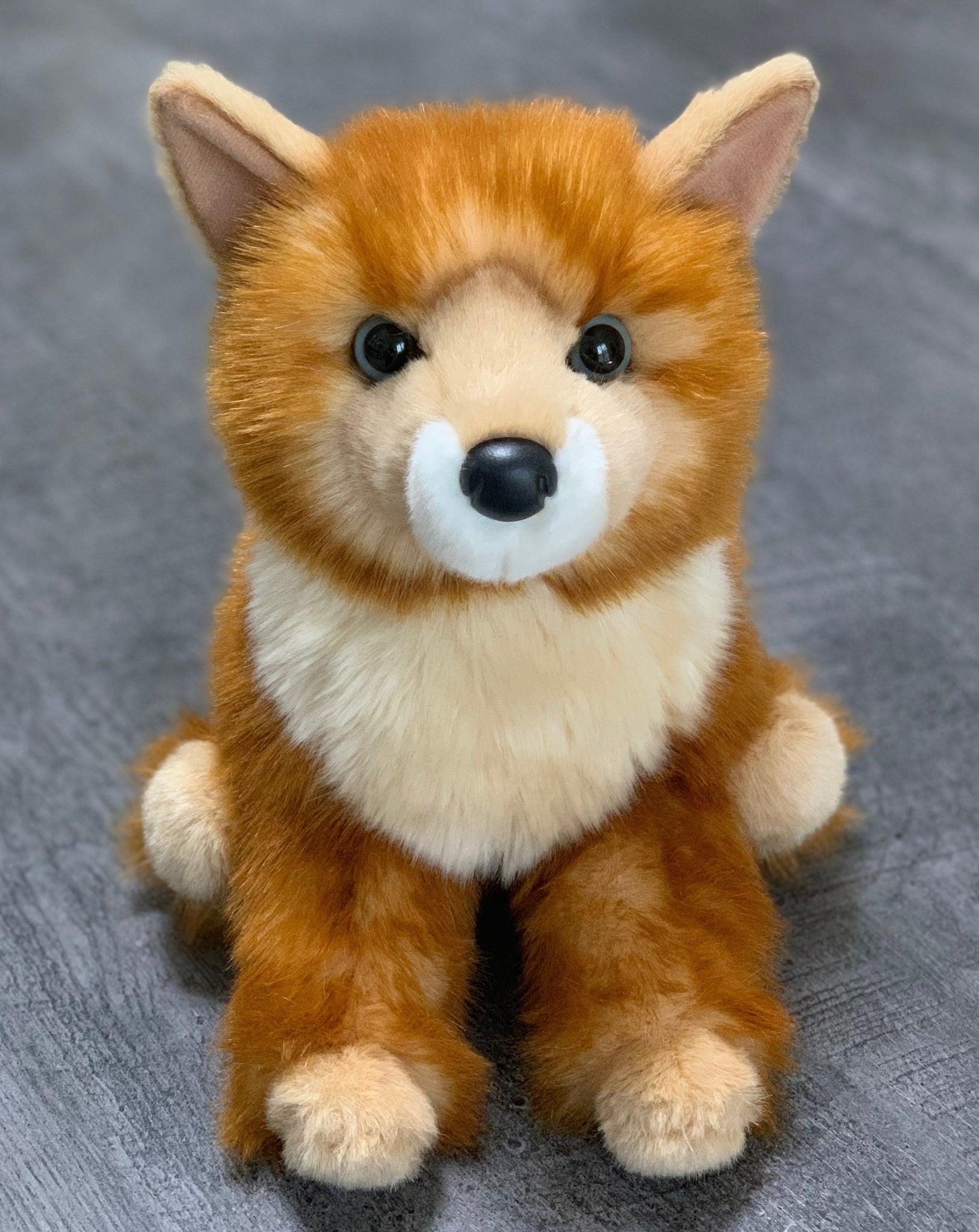 pomsky stuffed animal