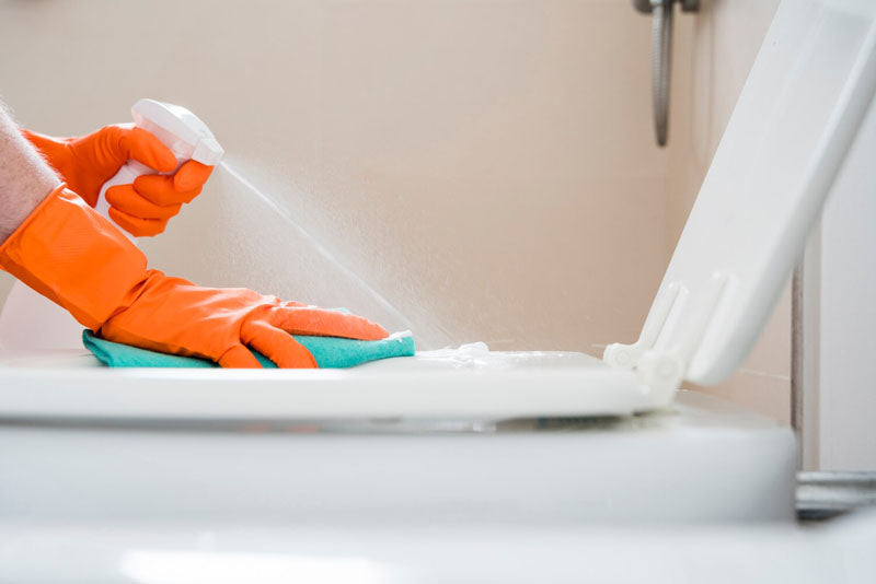 Cleaning Toilet Ring