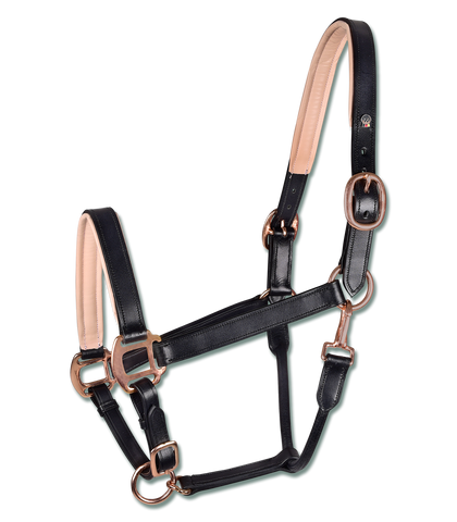 B VERTIGO Evolve Leather Halter with Braided Accents