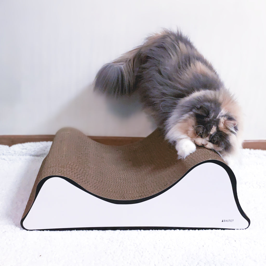 arched cat scratcher