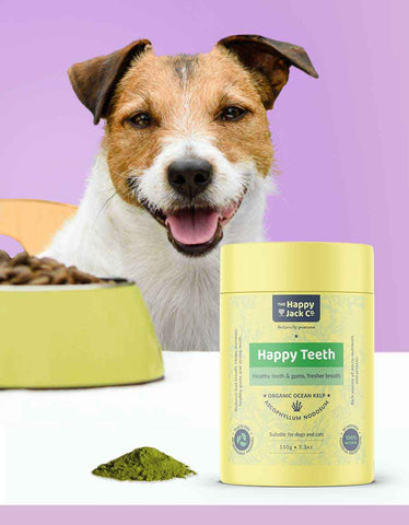 Happy Teeth Natural dog dental care.  Add dog dental care to one meal per day