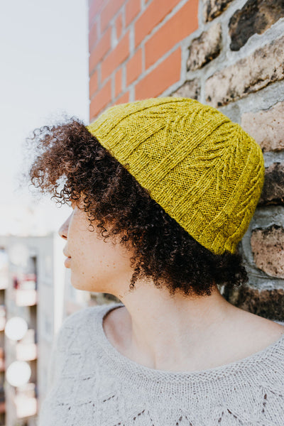 Contorta hat in Bloom (Stormy)