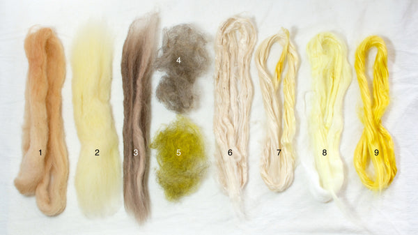 Dyed plant fibres