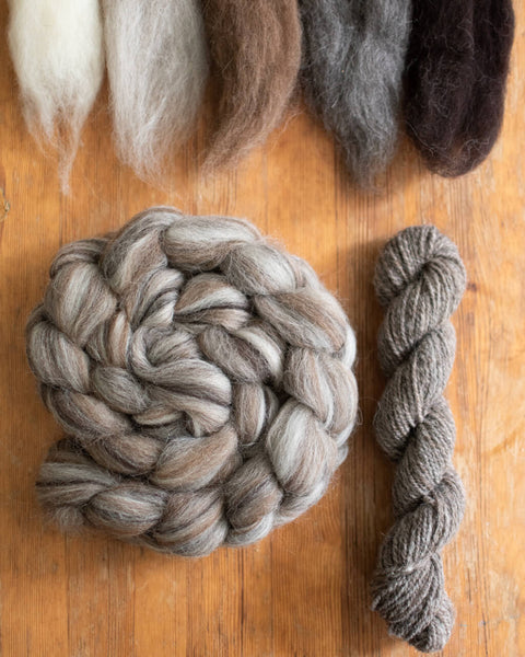 Five British breed naturally coloured wools and the tops they've been blended into, with a sample of hand-spun yarn