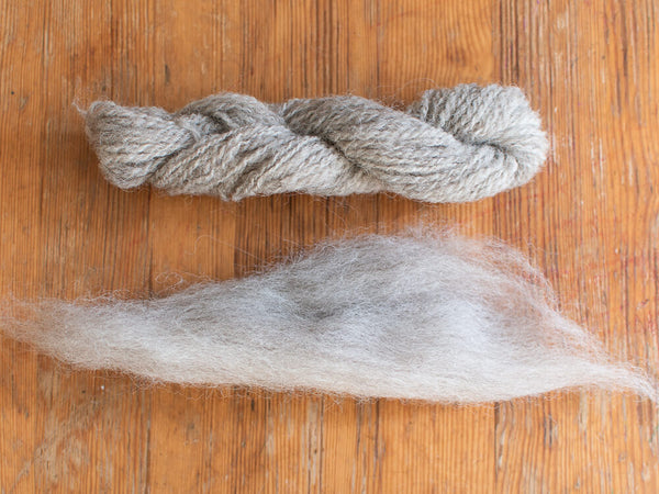 Light grey Cheviot wool tops and hand-spun sample yarn