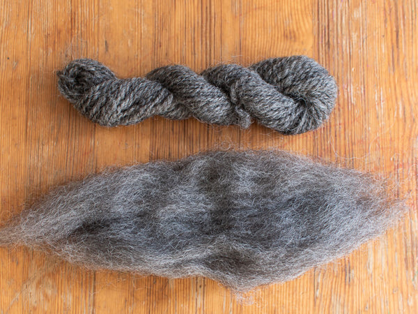 Dark grey Teeswater wool tops and hand-spun yarn sample