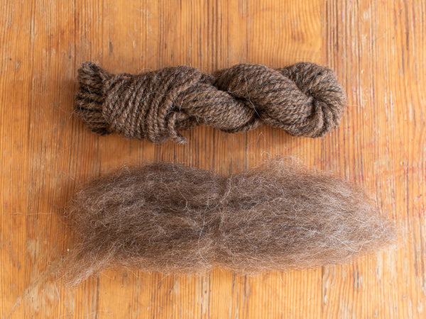 Manx Loaghtan wool tops and hand-spun yarn sample