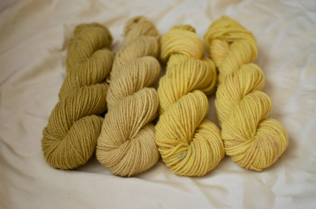 Ivy dye and yarn bundle