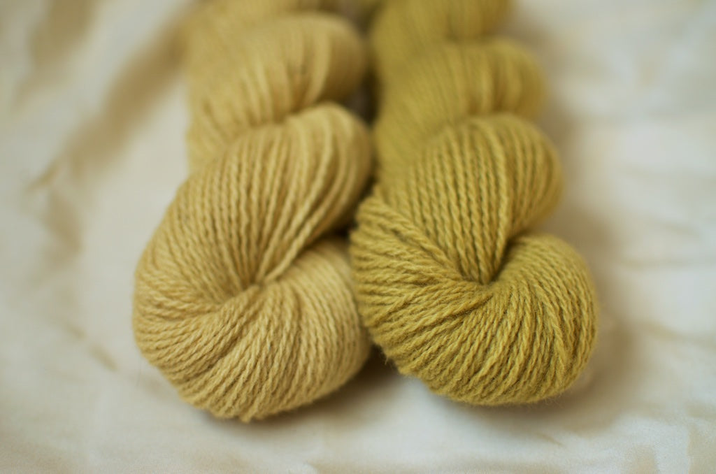 Ivy dyed yarn