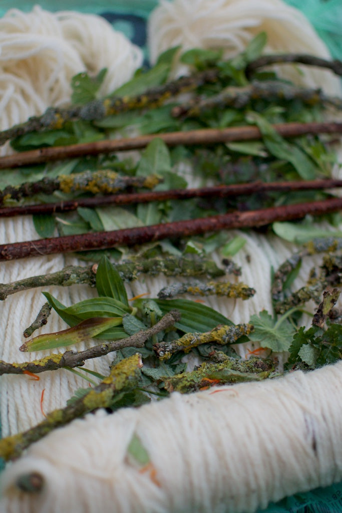 Bundle dye with willow and lichen