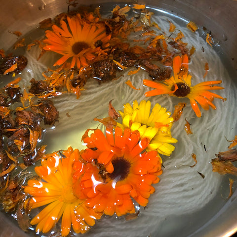 Marigold and Calendula dye pot