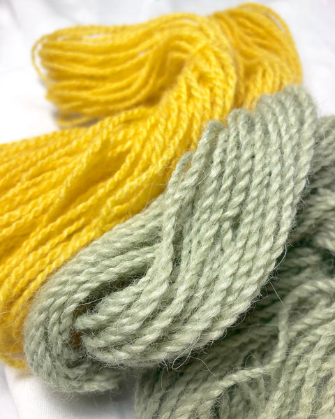 Marigold and privet dyed yarns