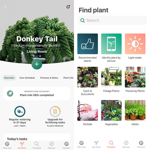 planter-tracker-app