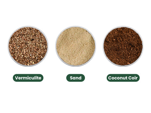 Vermiculite-sand-and-coconut-coir-are-the-top-soil-mediums-for-succulents-to-root-quickly