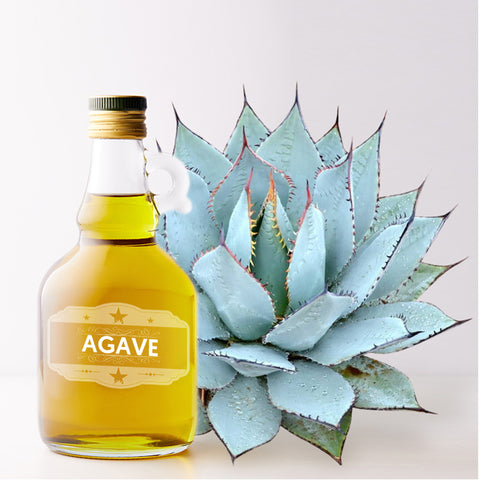 agave-succulents-are-used-to-make-tequila