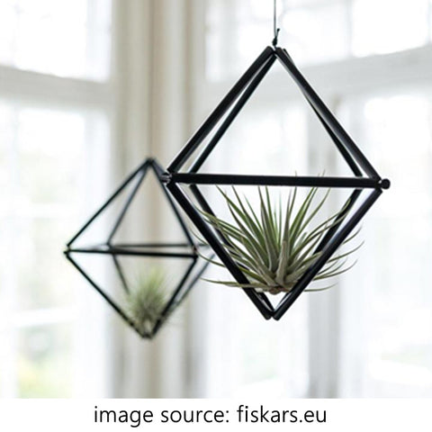 airplant-in-metal-hanging-planter-by-the-window