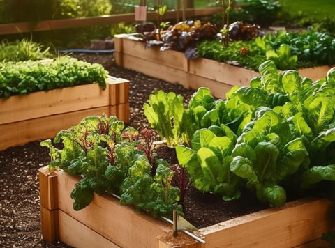 creat-raised-bed-garden-along-with-garden-mom