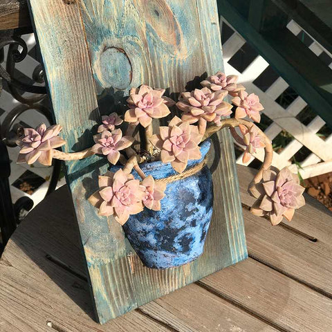 decorating-succulent-trees-as-artworks