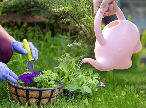 water-flowers-with-garden-mom