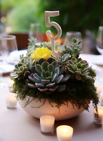 Echeveria-succulents-paired-with-shallow-pots-for-dish-gardens.