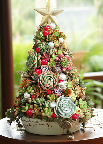 succulent-christmas-tree-for-centerpiece