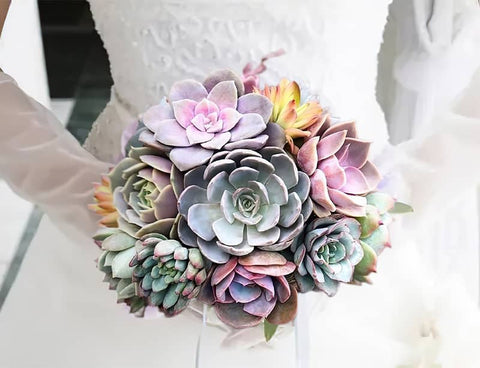 Bride holding a live succulent bouquet in her hand at the wedding
