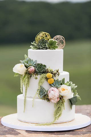 Wedding cake decorated with succulents
