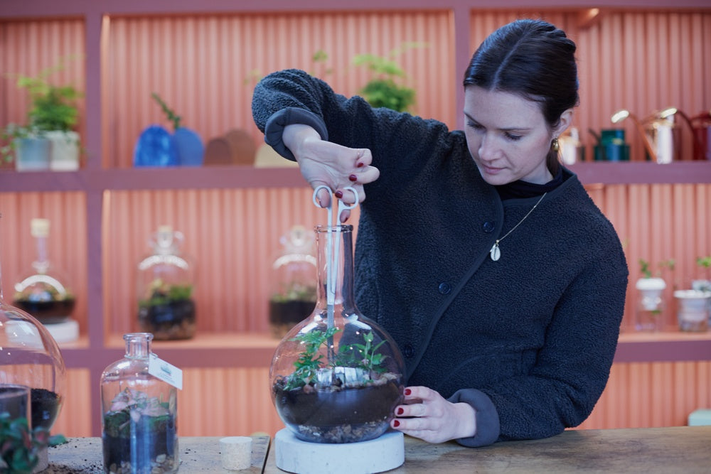 London-Terrariums-trimming-plant