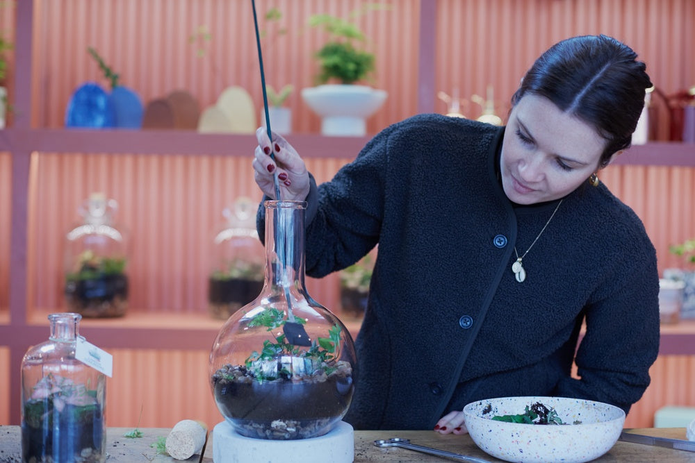 London-Terrariums-Cleaning