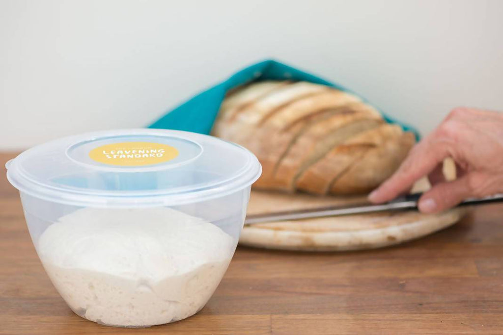 Sourdough Starter Kit