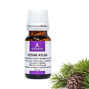 BIO Eterično ulje Cedar atlas Aromara 10ml