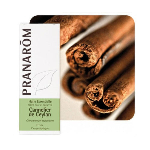 Eterično ulje Cimet kora (Cinnamomum Zeylanicum) Pranarom 5ml