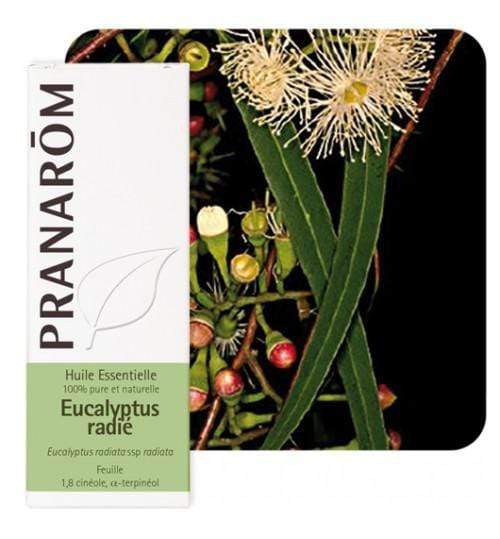 Eterično ulje eukaliptus radiata Pranarom 10ml