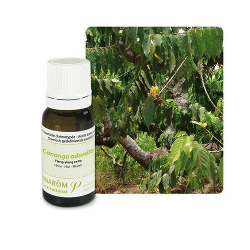 Eterično ulje Ylang Ylang Pranarom BIO 5ml