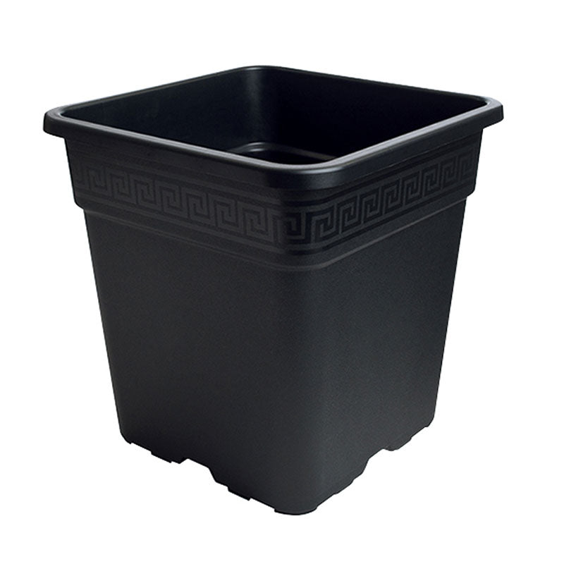 Delegeren Voorschrift welzijn Premium Black Square Pot - 1/2 Gallon (2L) – Astral Grow