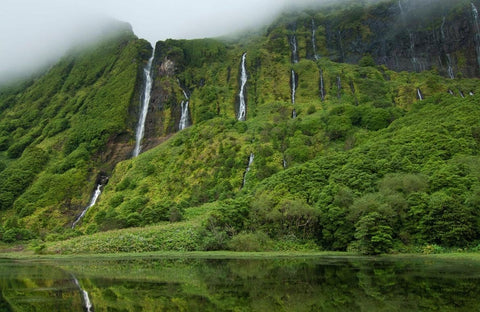 Flores: Flowers, Walking, and Waterfalls in Azores 